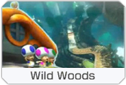 File:MK8-DLC-Course-icon-WildWoods.png