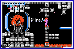 WWIMM Metroid.png