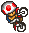 EBBMBS-Toad-moto.png