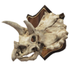 Trofeo-triceratopo-Souvenir.png