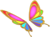 MKT-Ali-di-farfalla-arcobaleno.png