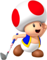 Toad MGWT.png