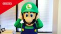 Miniatura Video Luigi.jpg