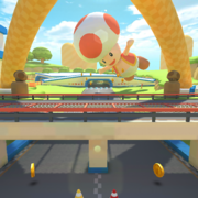 MKT-3DS-Circuito-di-Toad.png