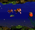 DKC-Barriera-Corallina-2.png
