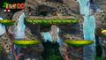 Rovi & Relitti Screenshot 3 - Donkey Kong Country Tropical Freeze.jpg
