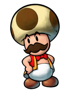 Mastro Toad Giovane.png