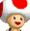 MKDS-Toad-icona.png