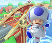 MKT-GCN-Ponte-dei-Funghi-icona-Toad-astronauta.png