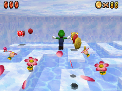 SM64DS-Monete-rosse-nell'igloo.png