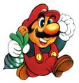 Mario SMB2.jpg