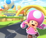 MKT-3DS-Circuito-di-Toad-R-icona-Toadette.png