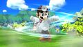 Dr Mario Dr Tornado Wii U.jpg