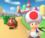 MKT-3DS-Circuito-di-Mario-R-icona-Toad.png