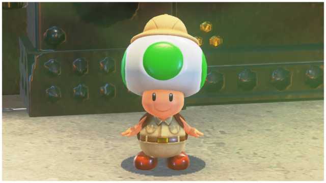 File:SMO-Toad-Custode.png