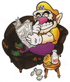 Wario-Giornale-WL4.png