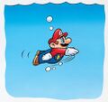 SMW Mario swimming.jpg