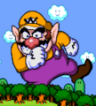Wario-WsW.png