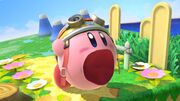 SSBU-Kirby-Wario.jpg
