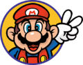 SMBTLL Mario Icon.png