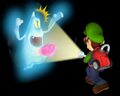 LM-Luigi e Fantasma2.jpg