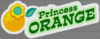 MK8-Princess-Orange-logo2.png